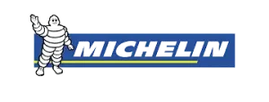 neumático michelin
