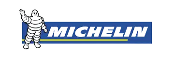 neumático michelin