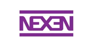 neumático nexen